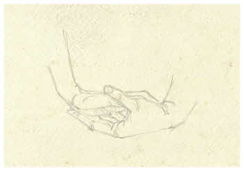 Visualizza l'immagine "FD D 1909"